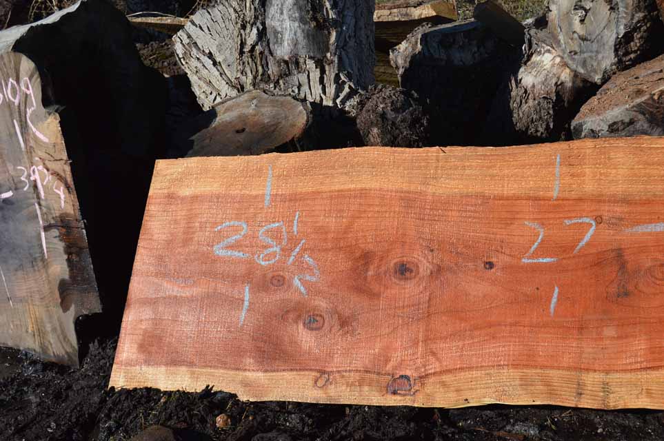 Redwood Slab REDSLB8A