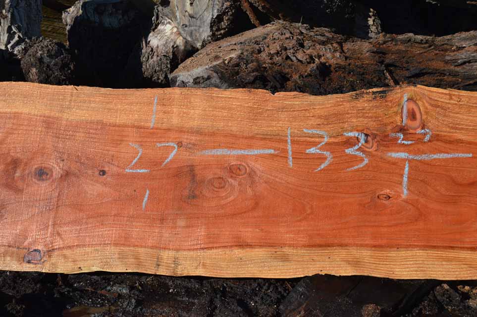 Redwood Slab REDSLB8A
