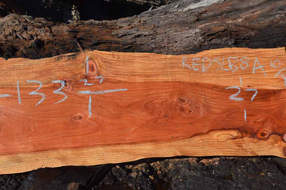 Redwood Slab REDSLB8A