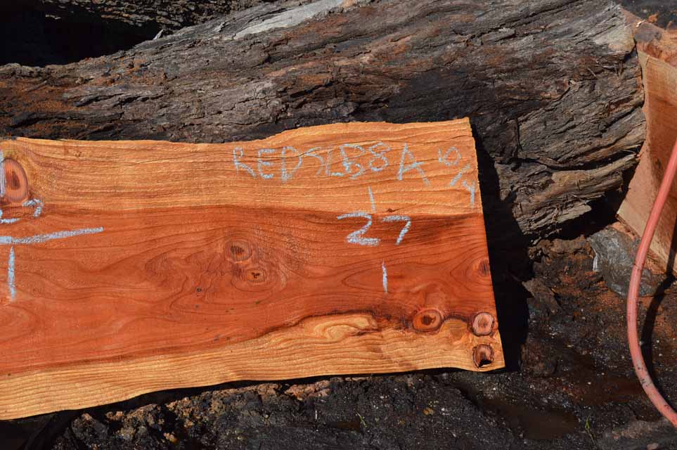 Redwood Slab REDSLB8A