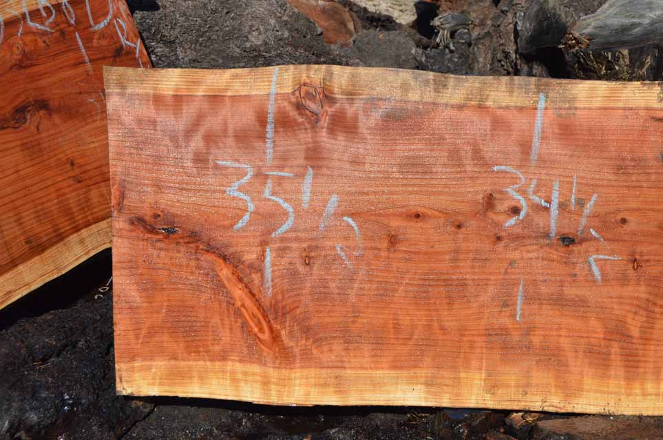 Redwood Slab REDSLB8E