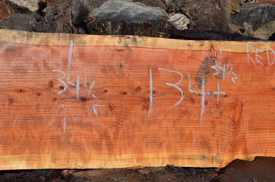 Redwood Slab REDSLB8E