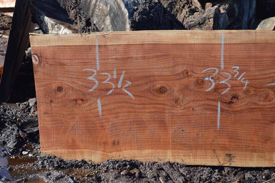 Redwood Slab REDSLB8F