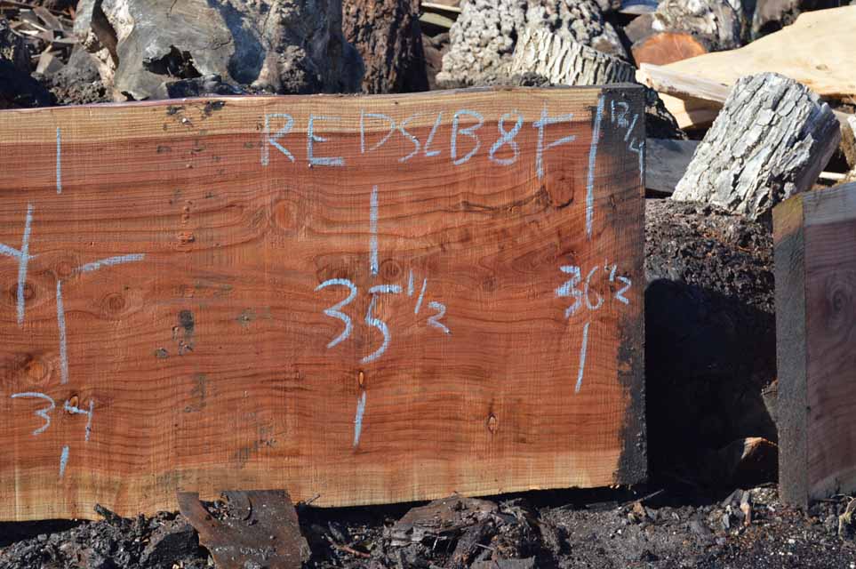 Redwood Slab REDSLB8F