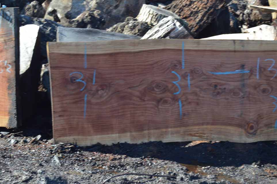 Redwood Slab REDSLB8G