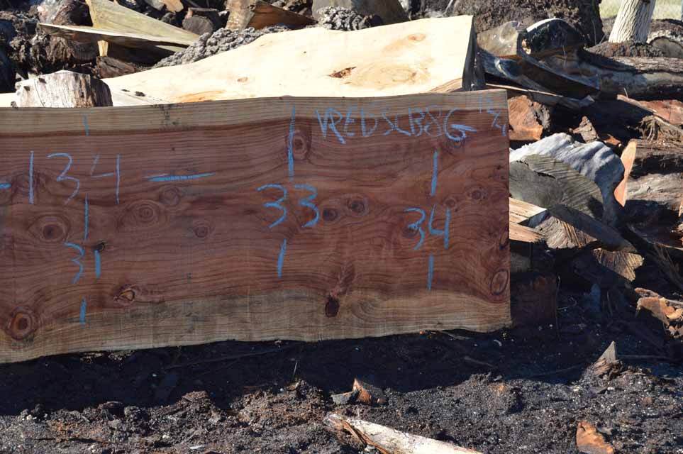 Redwood Slab REDSLB8G