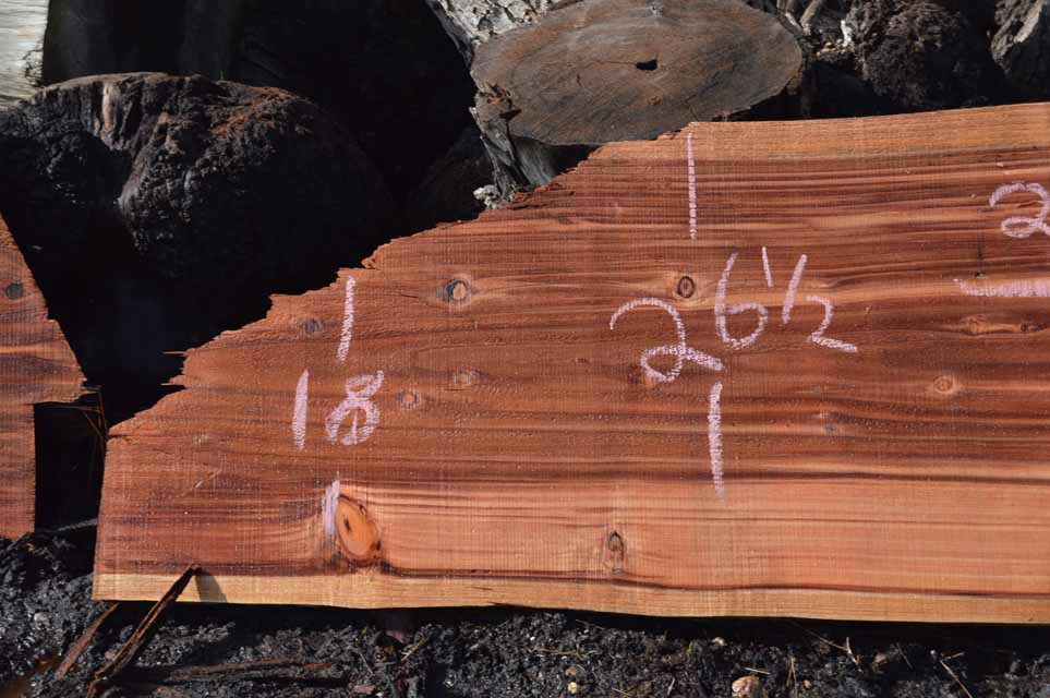 Redwood Slab REDSLB10B