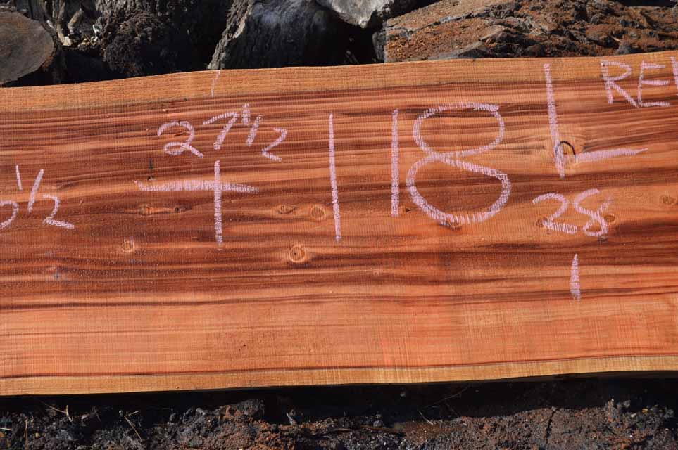 Redwood Slab REDSLB10B