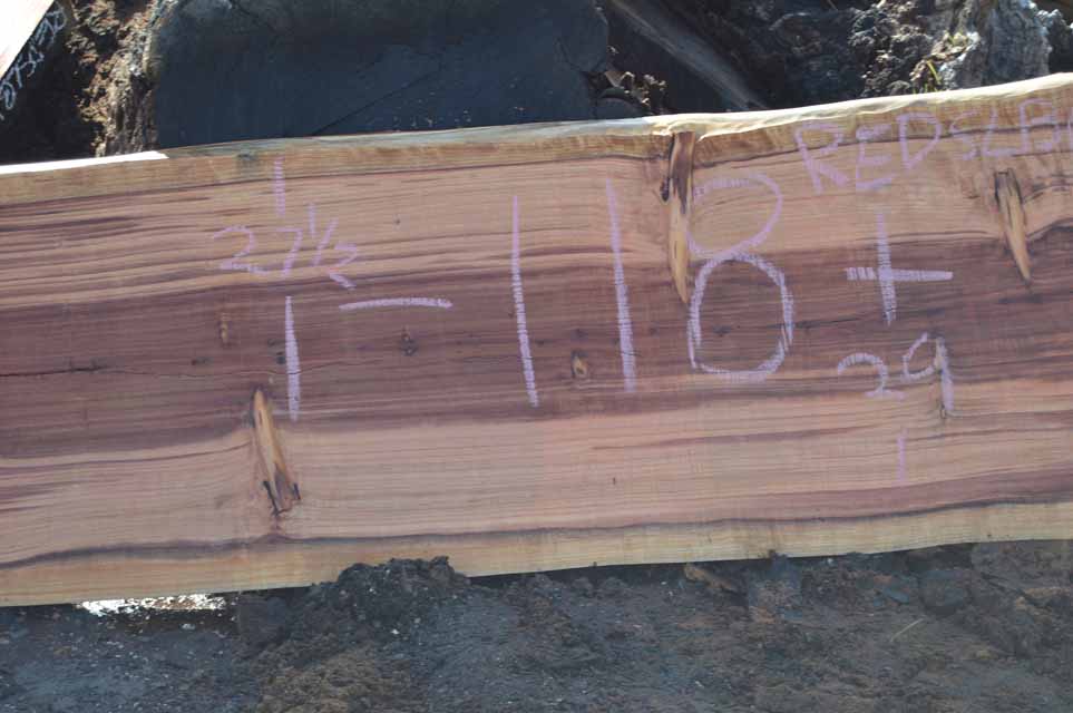 Redwood Slab REDSLB10C