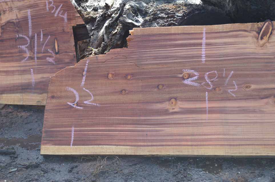 Redwood Slab REDSLB10D
