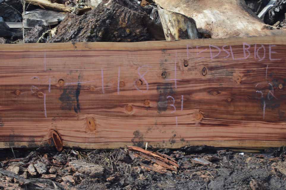 Redwood Slab REDSLB10E