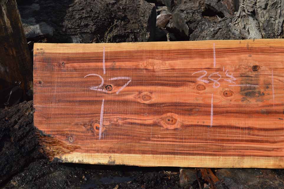 Redwood Slab REDSLB10F