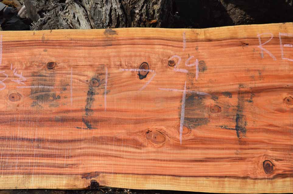 Redwood Slab REDSLB10F