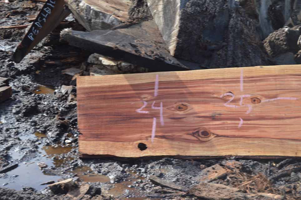 Redwood Slab REDSLB10G