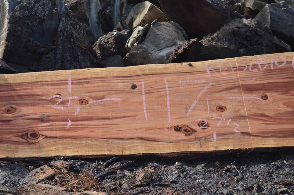 Redwood Slab REDSLB10G