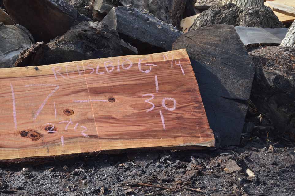 Redwood Slab REDSLB10G