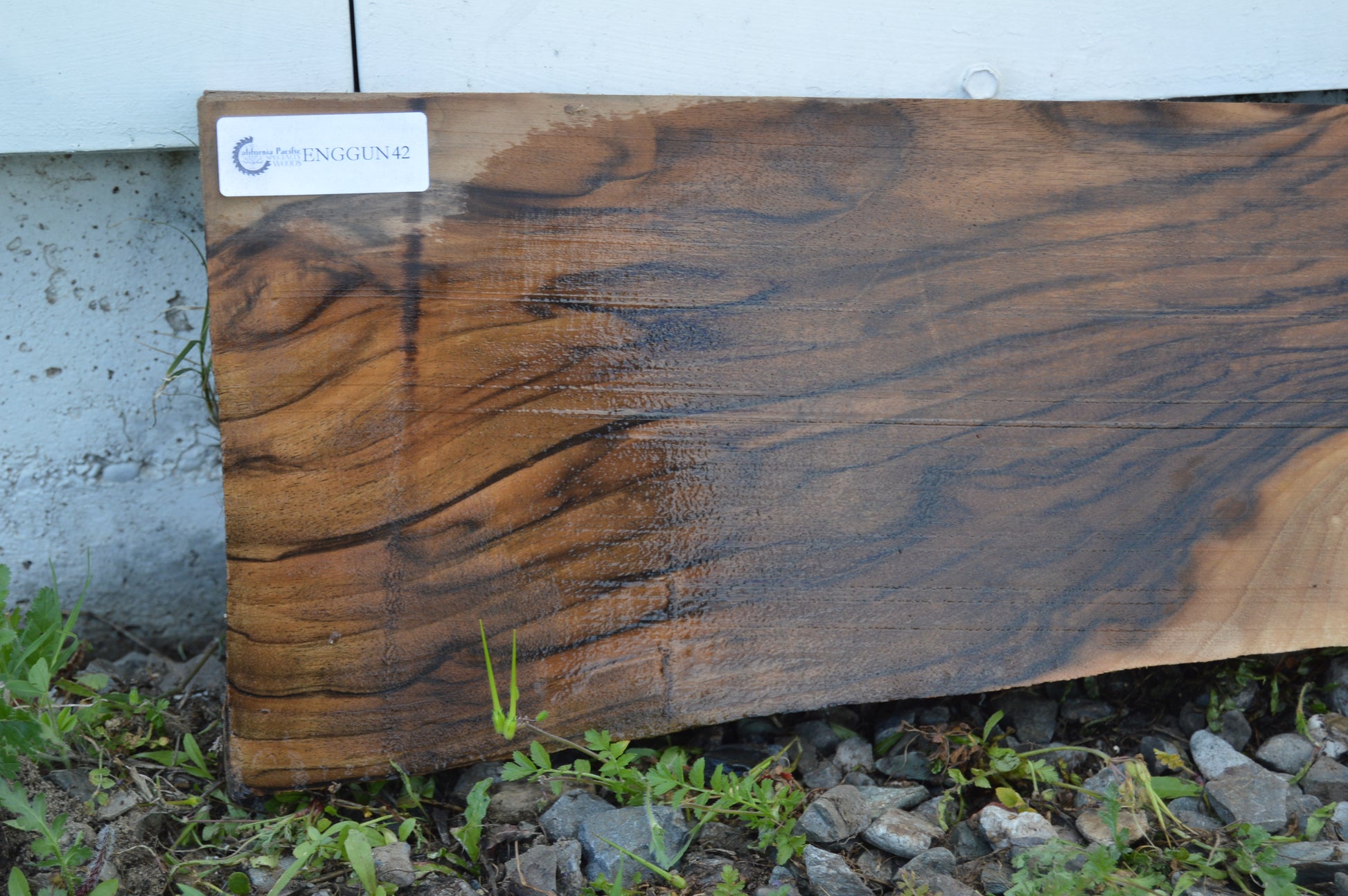 English Walnut Gunstock Blank ENGGUN42