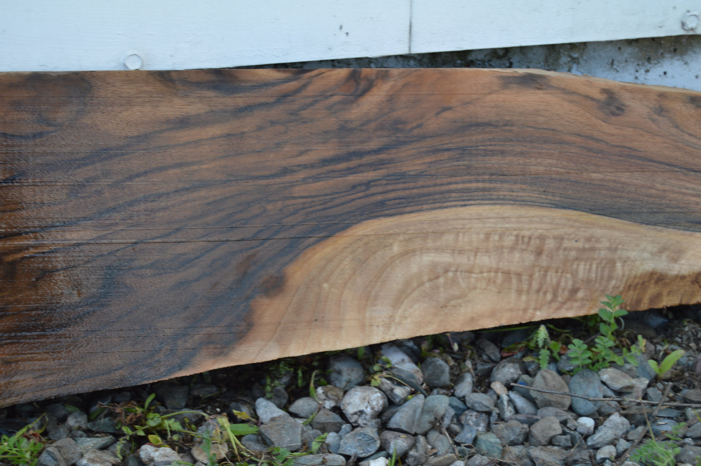 English Walnut Gunstock Blank ENGGUN42