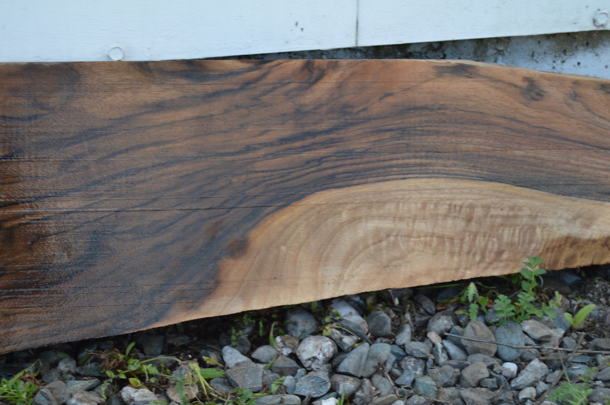English Walnut Gunstock Blank ENGGUN42
