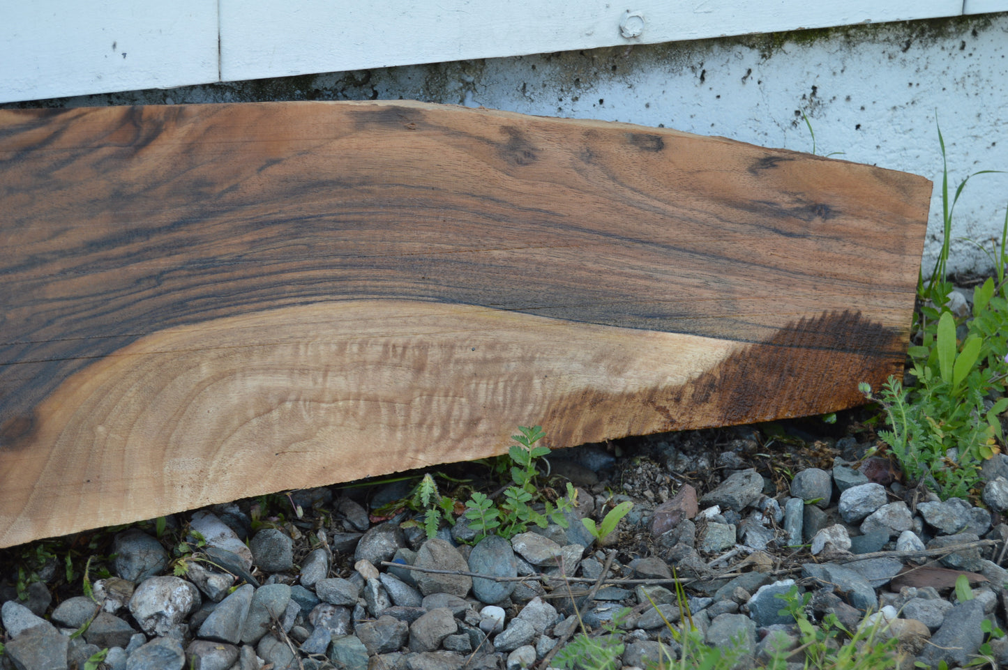 English Walnut Gunstock Blank ENGGUN42