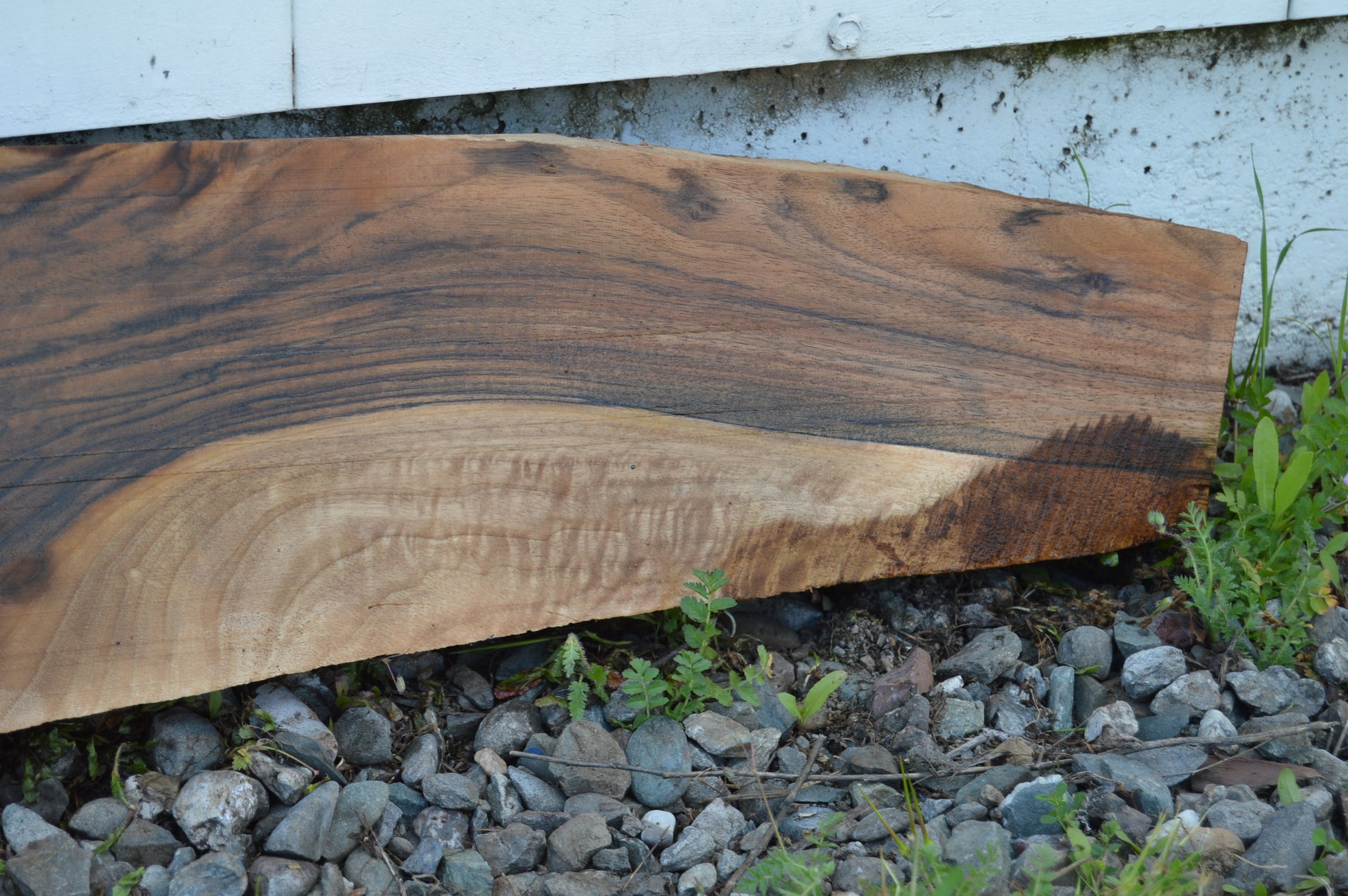English Walnut Gunstock Blank ENGGUN42
