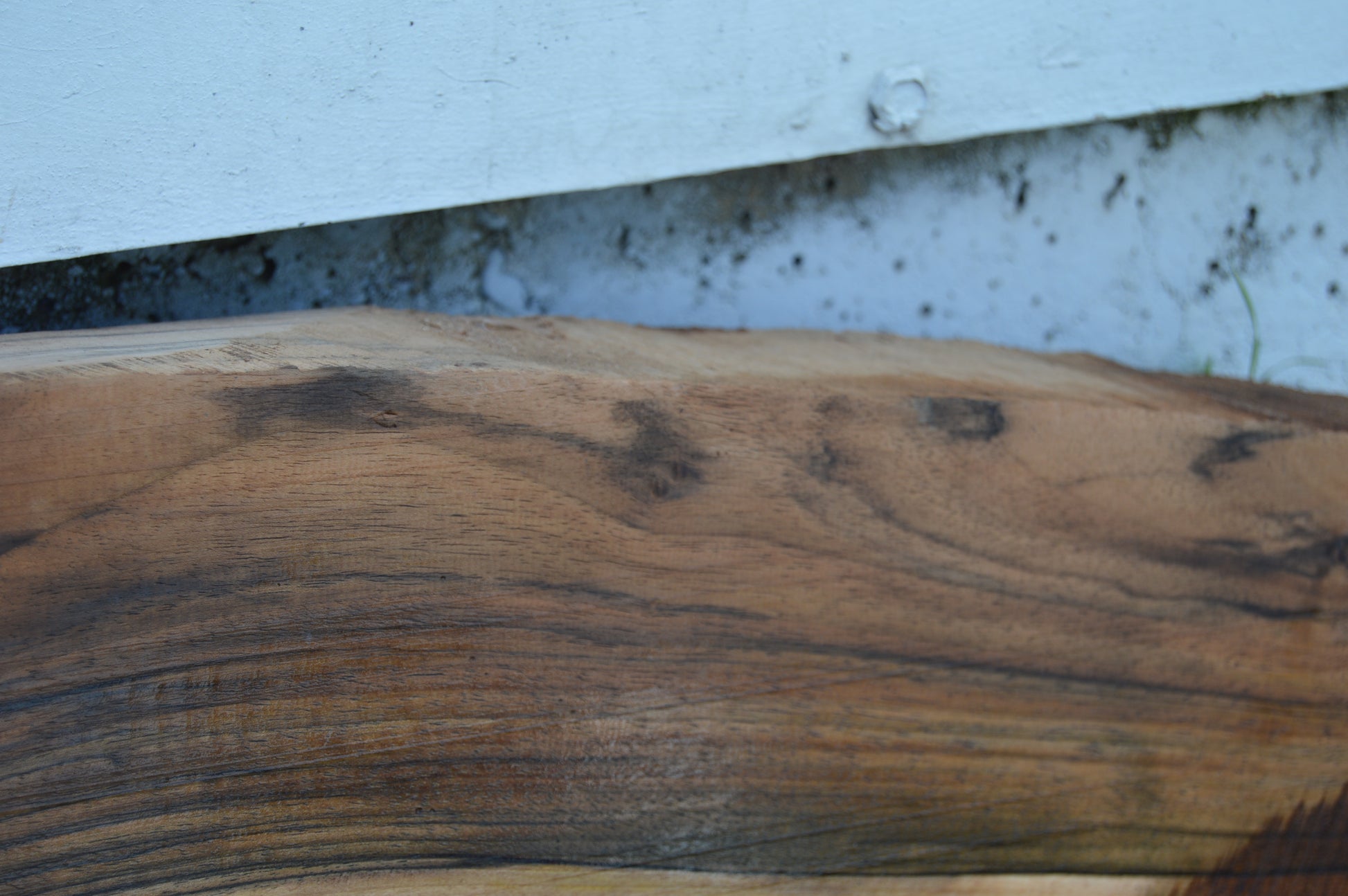 English Walnut Gunstock Blank ENGGUN42