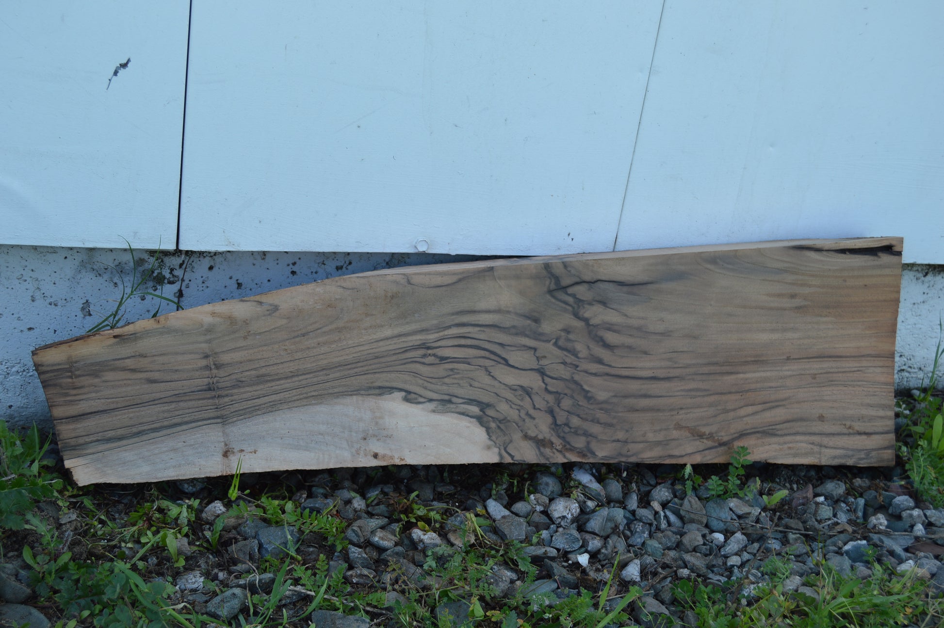 English Walnut Gunstock Blank ENGGUN42