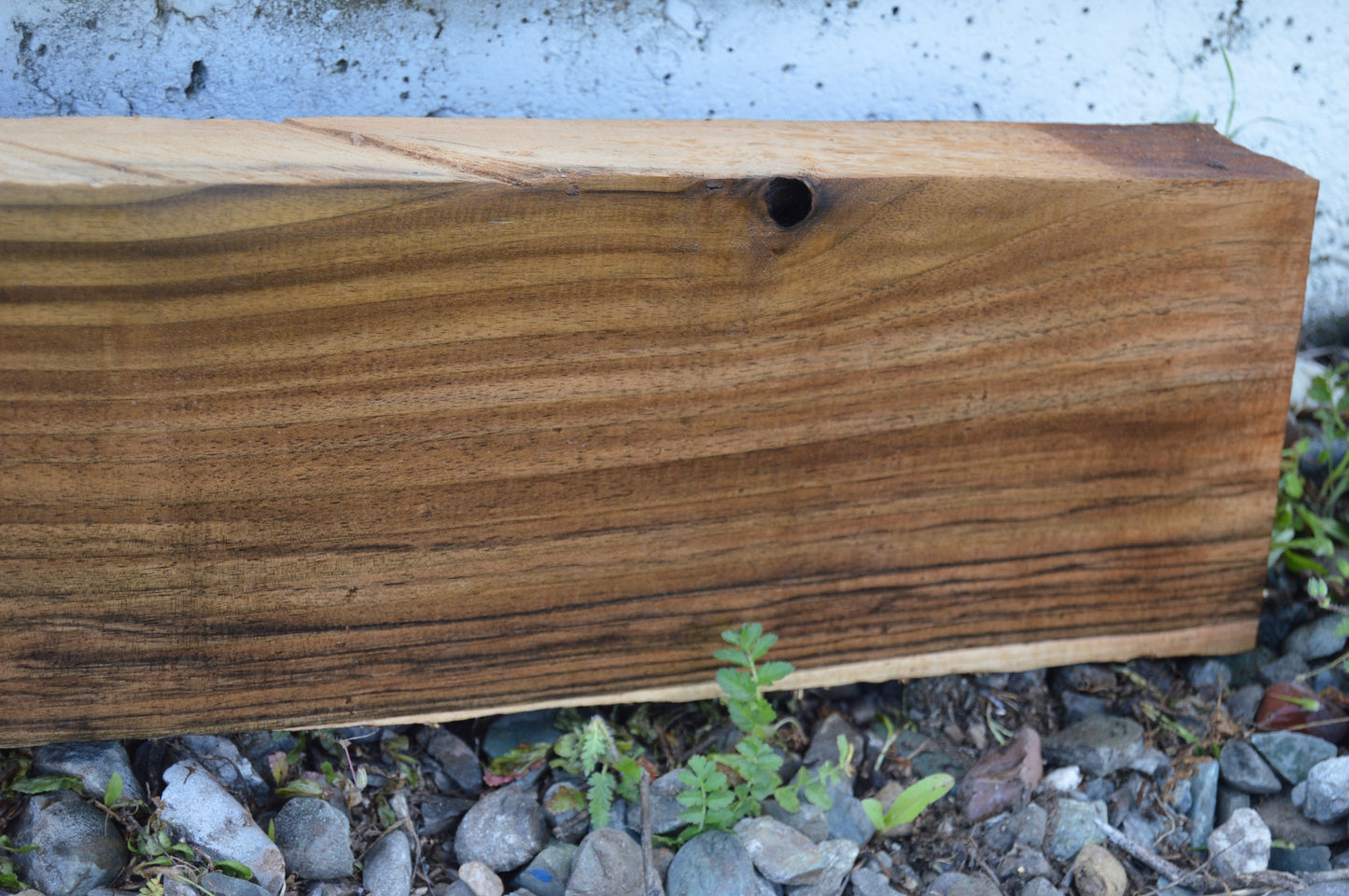 English Walnut Gunstock Blank ENGGUN43