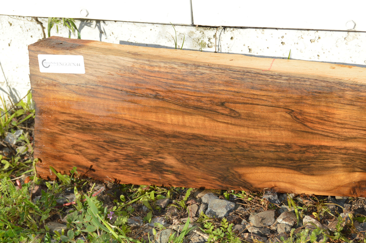 English Walnut Gunstock Blank ENGGUN44
