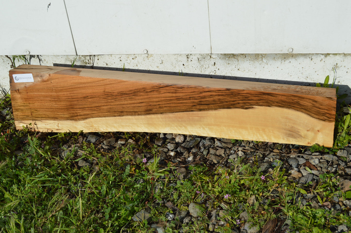 English Walnut Gunstock Blank ENGGUN45