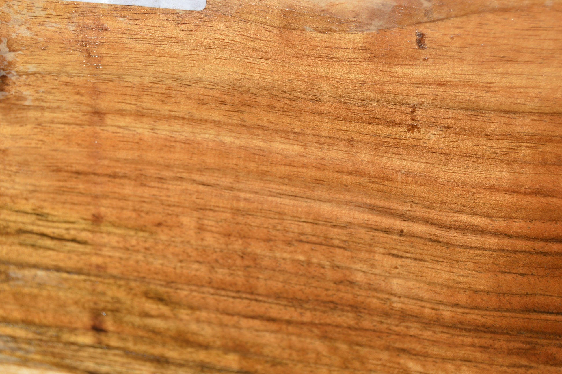 English Walnut Gunstock Blank ENGGUN45