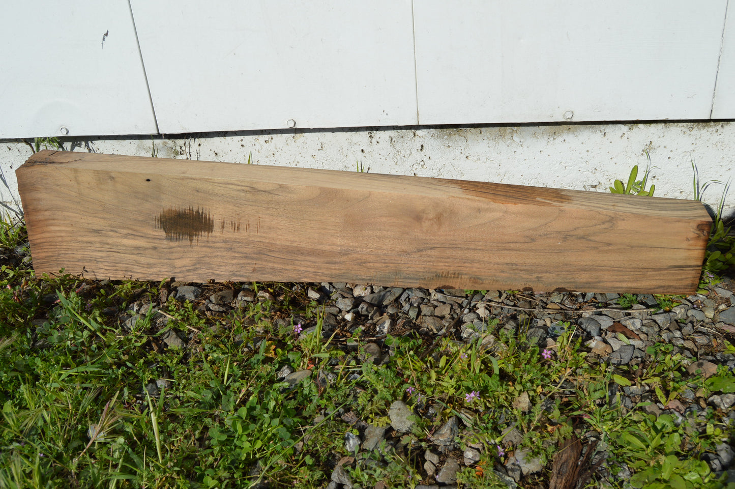 English Walnut Gunstock Blank ENGGUN46