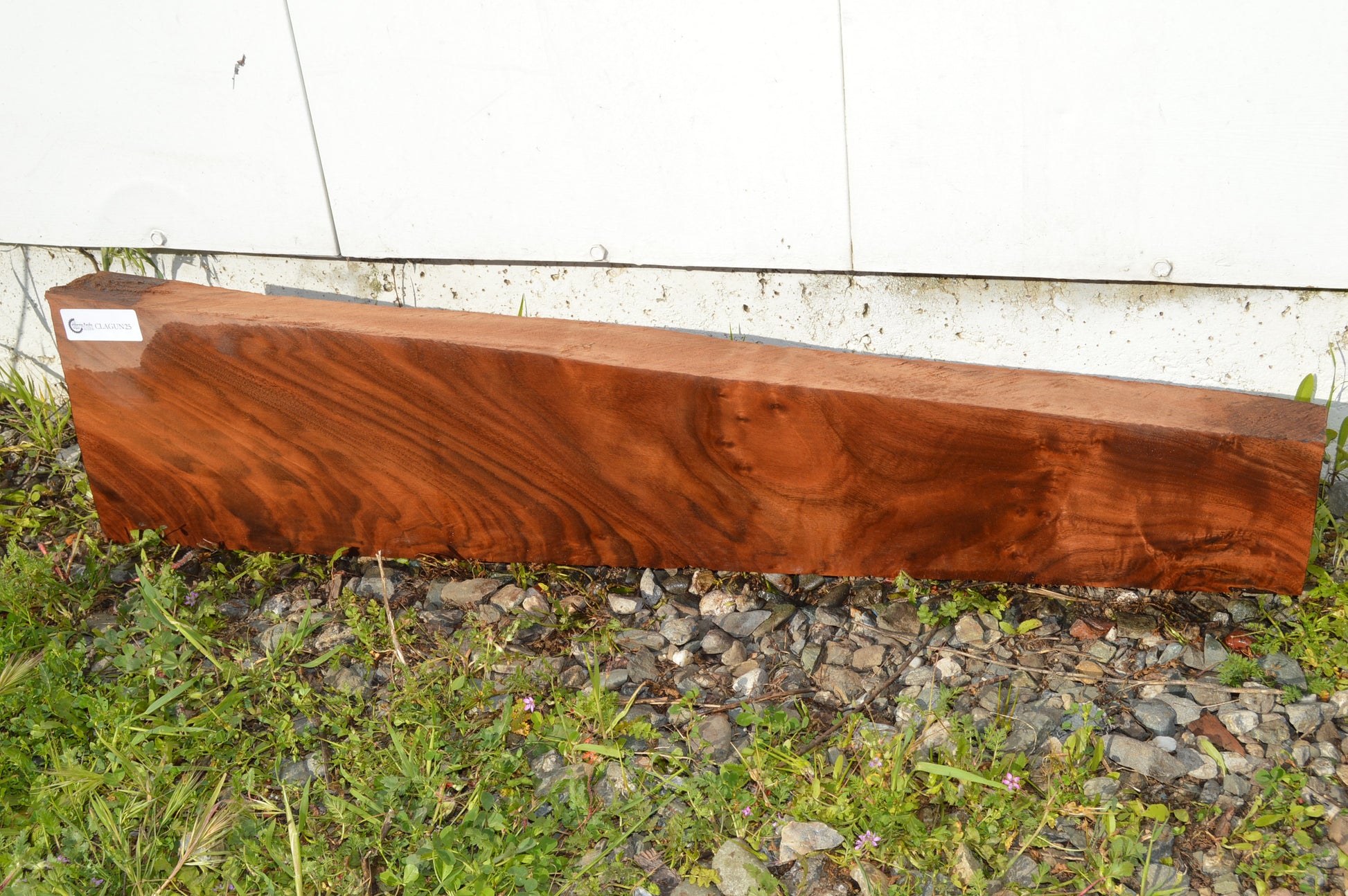 Claro Walnut Gunstock Blank CLAGUN25