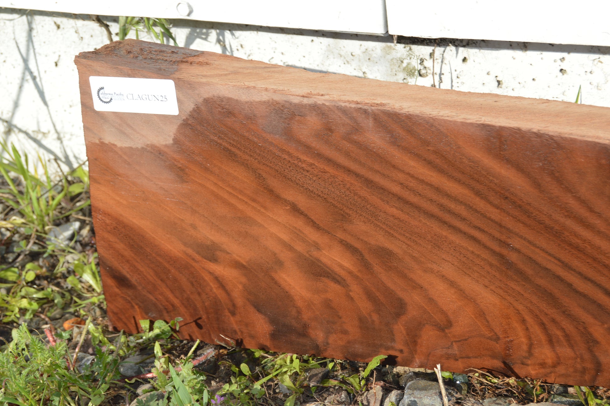 Claro Walnut Gunstock Blank CLAGUN25