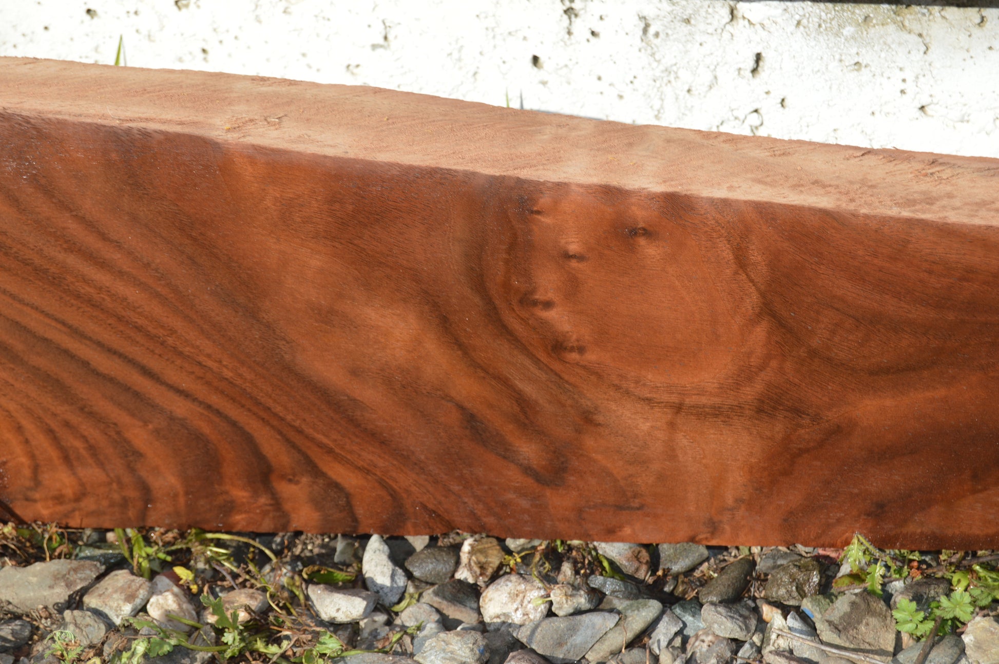 Claro Walnut Gunstock Blank CLAGUN25