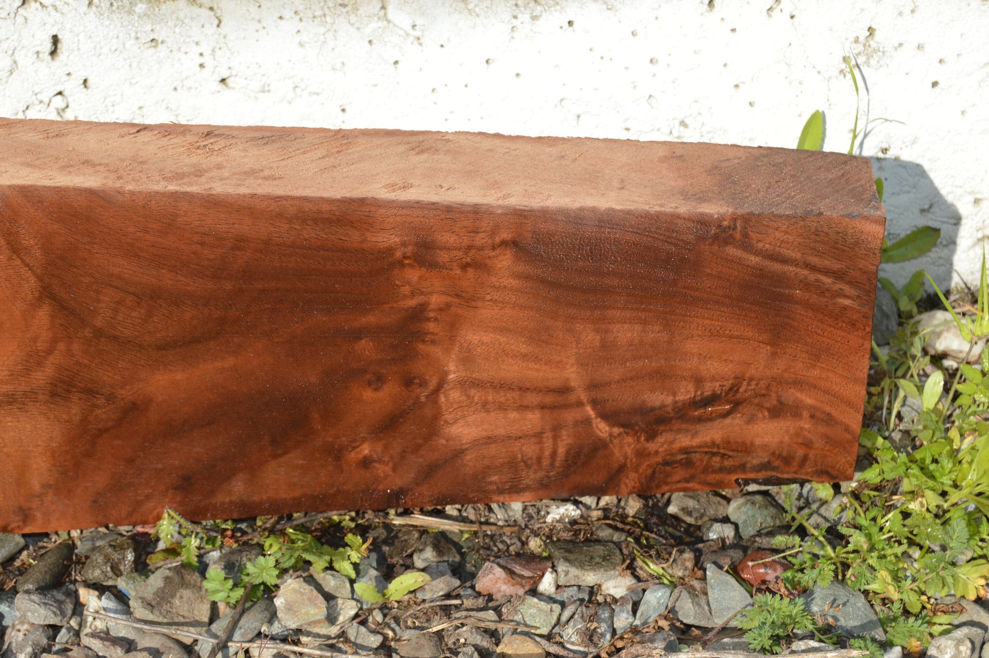 Claro Walnut Gunstock Blank CLAGUN25