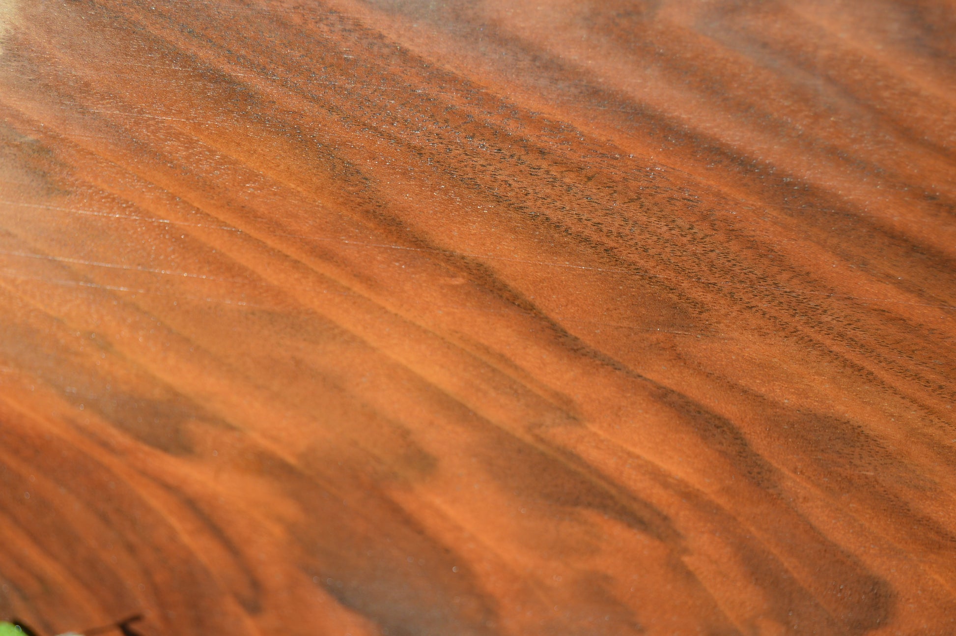 Claro Walnut Gunstock Blank CLAGUN25