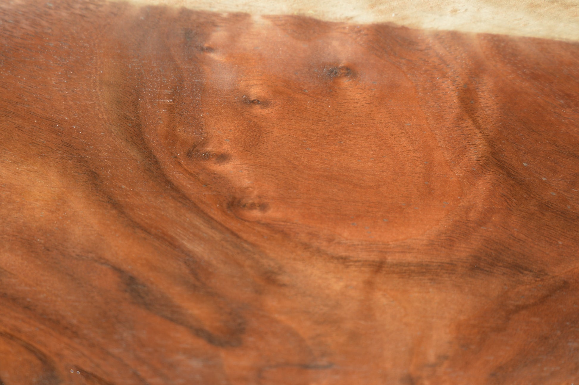Claro Walnut Gunstock Blank CLAGUN25