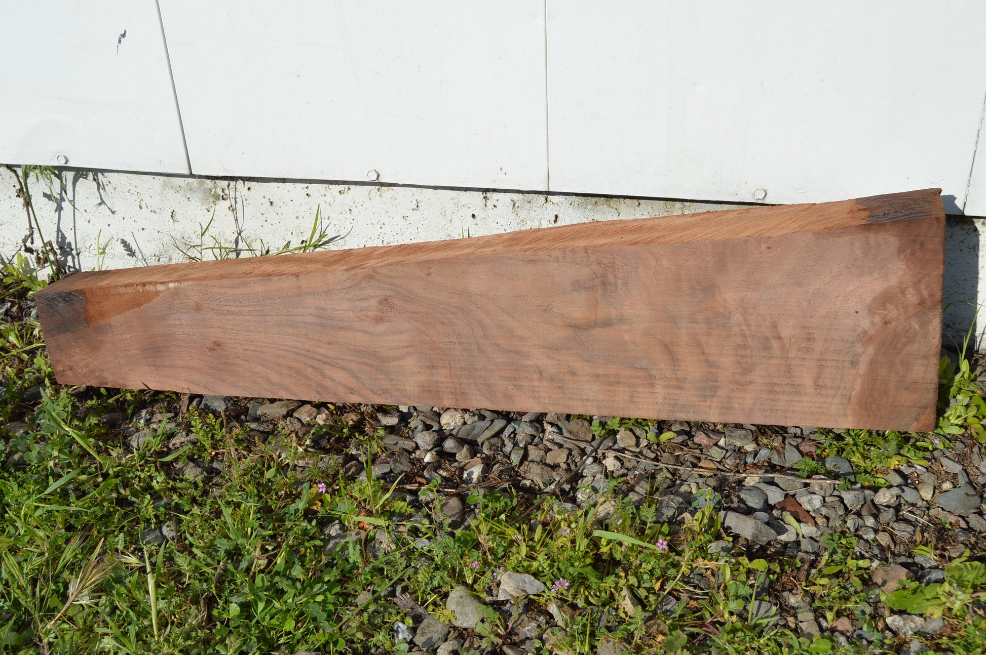 Claro Walnut Gunstock Blank CLAGUN25