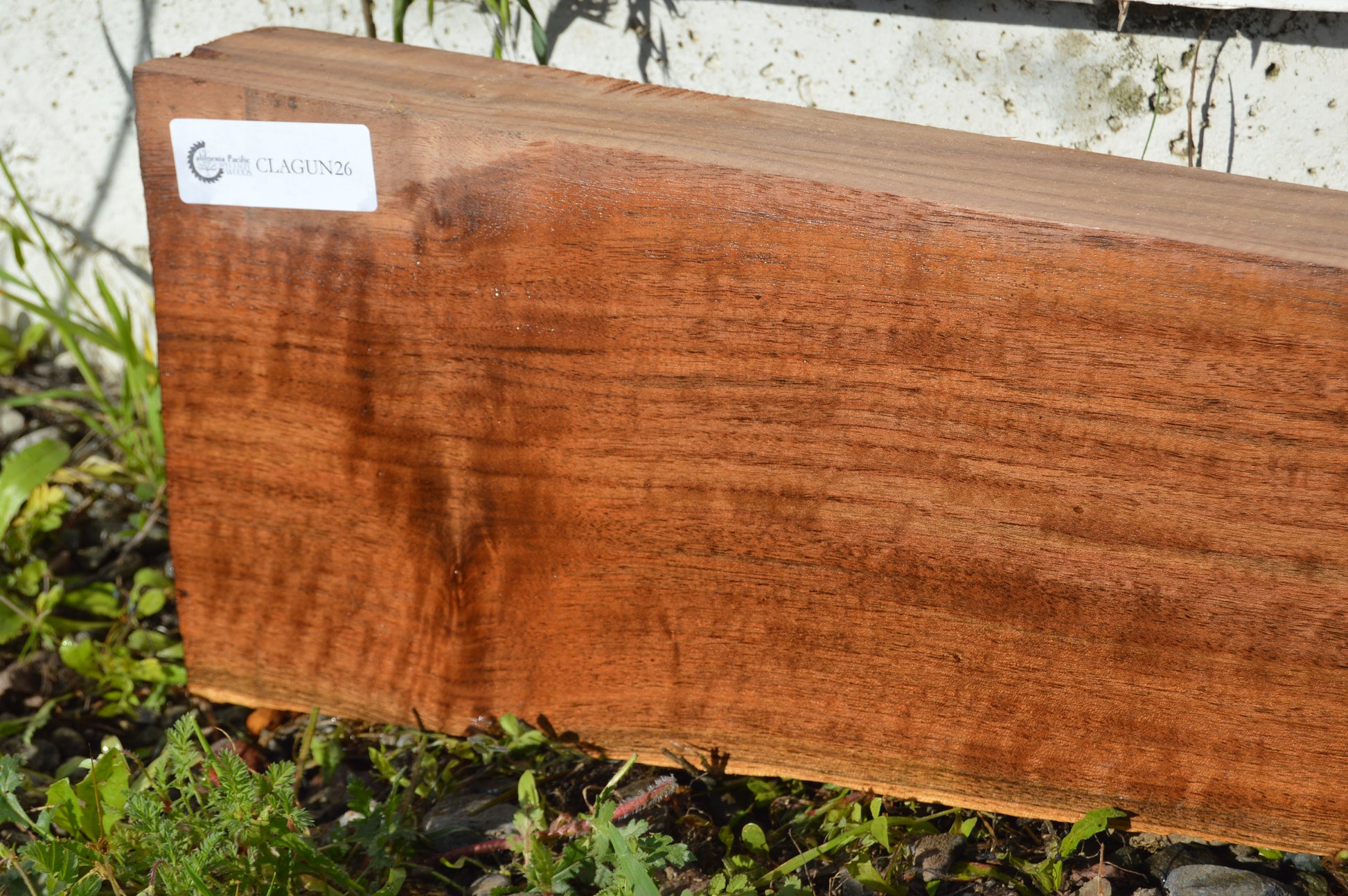 Claro Walnut Gunstock Blank CLAGUN26