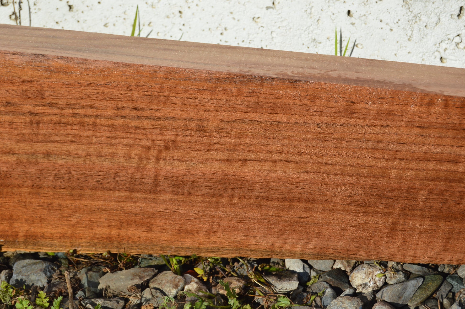 Claro Walnut Gunstock Blank CLAGUN26