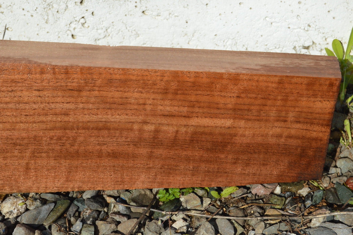Claro Walnut Gunstock Blank CLAGUN26