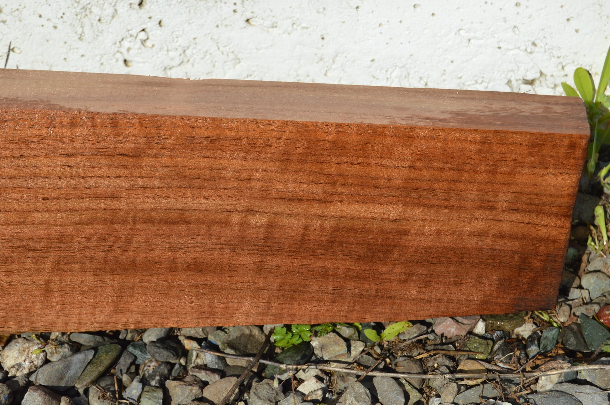 Claro Walnut Gunstock Blank CLAGUN26