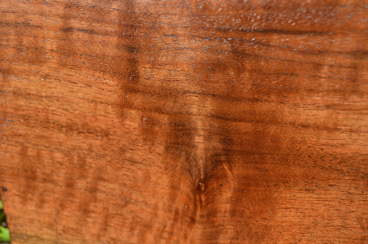 Claro Walnut Gunstock Blank CLAGUN26