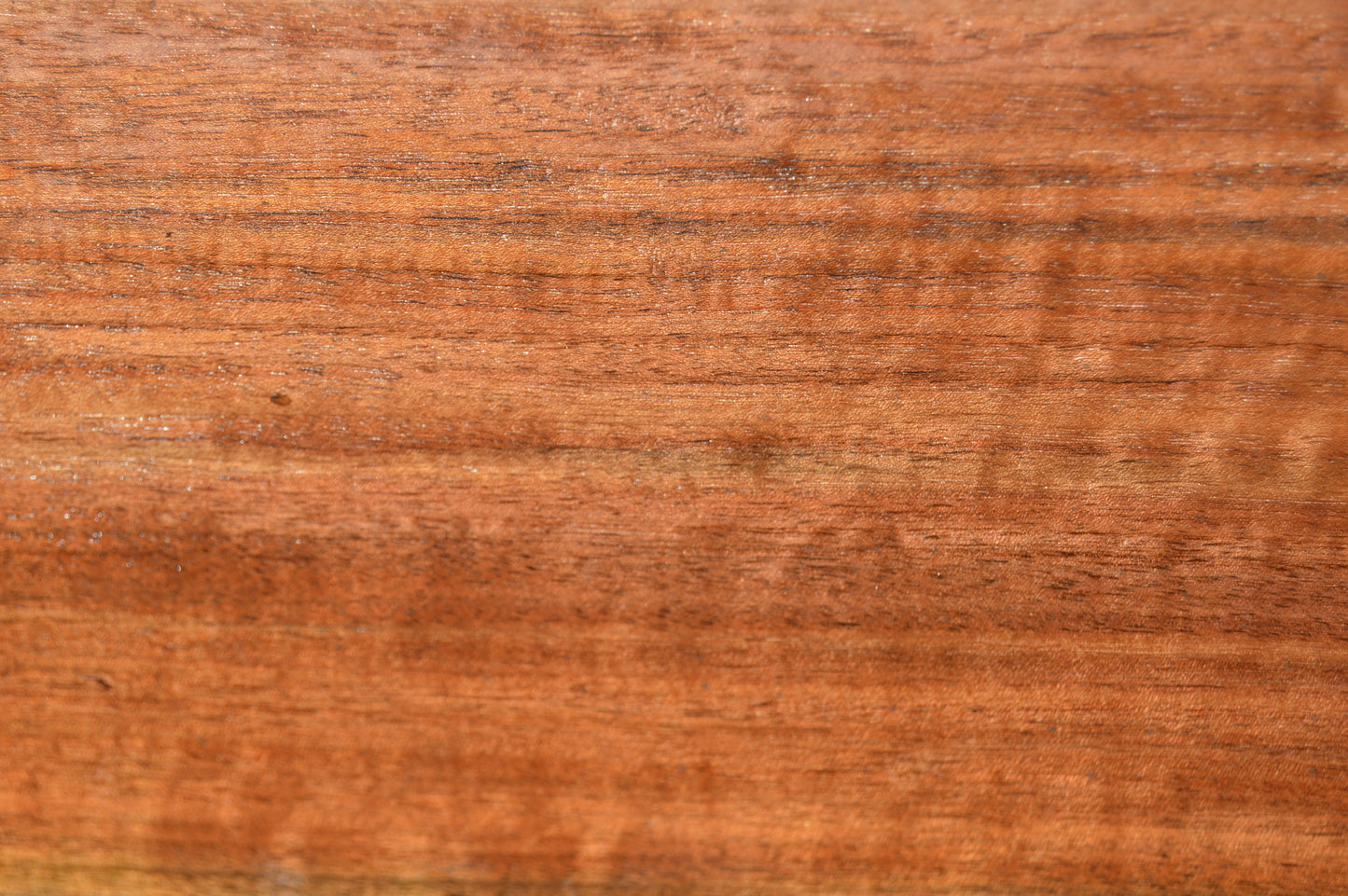 Claro Walnut Gunstock Blank CLAGUN26