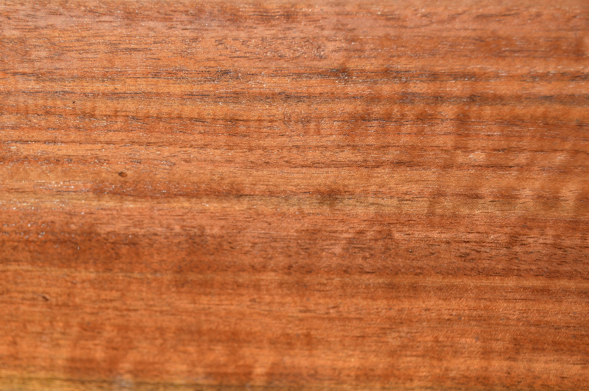 Claro Walnut Gunstock Blank CLAGUN26
