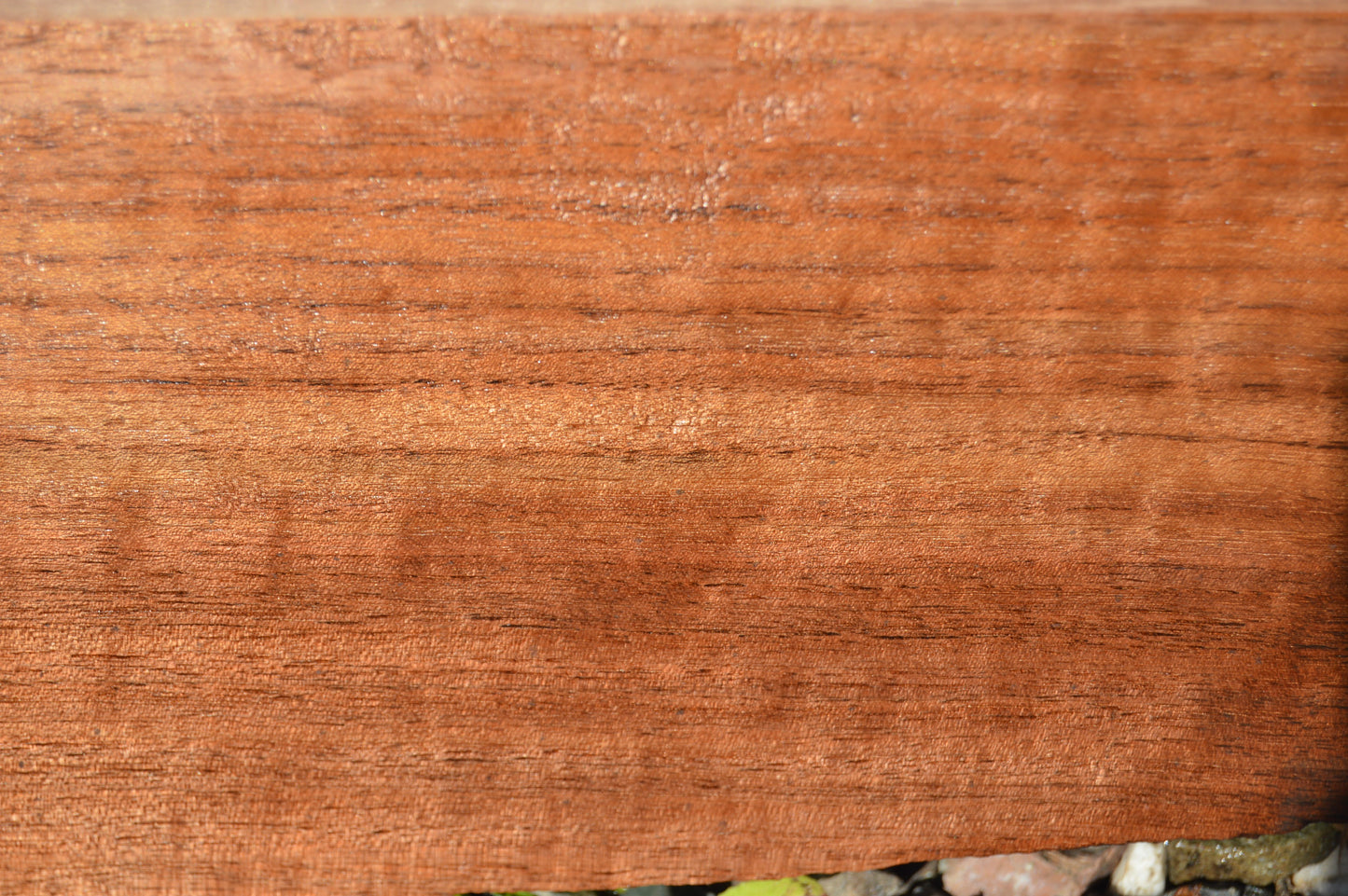 Claro Walnut Gunstock Blank CLAGUN26