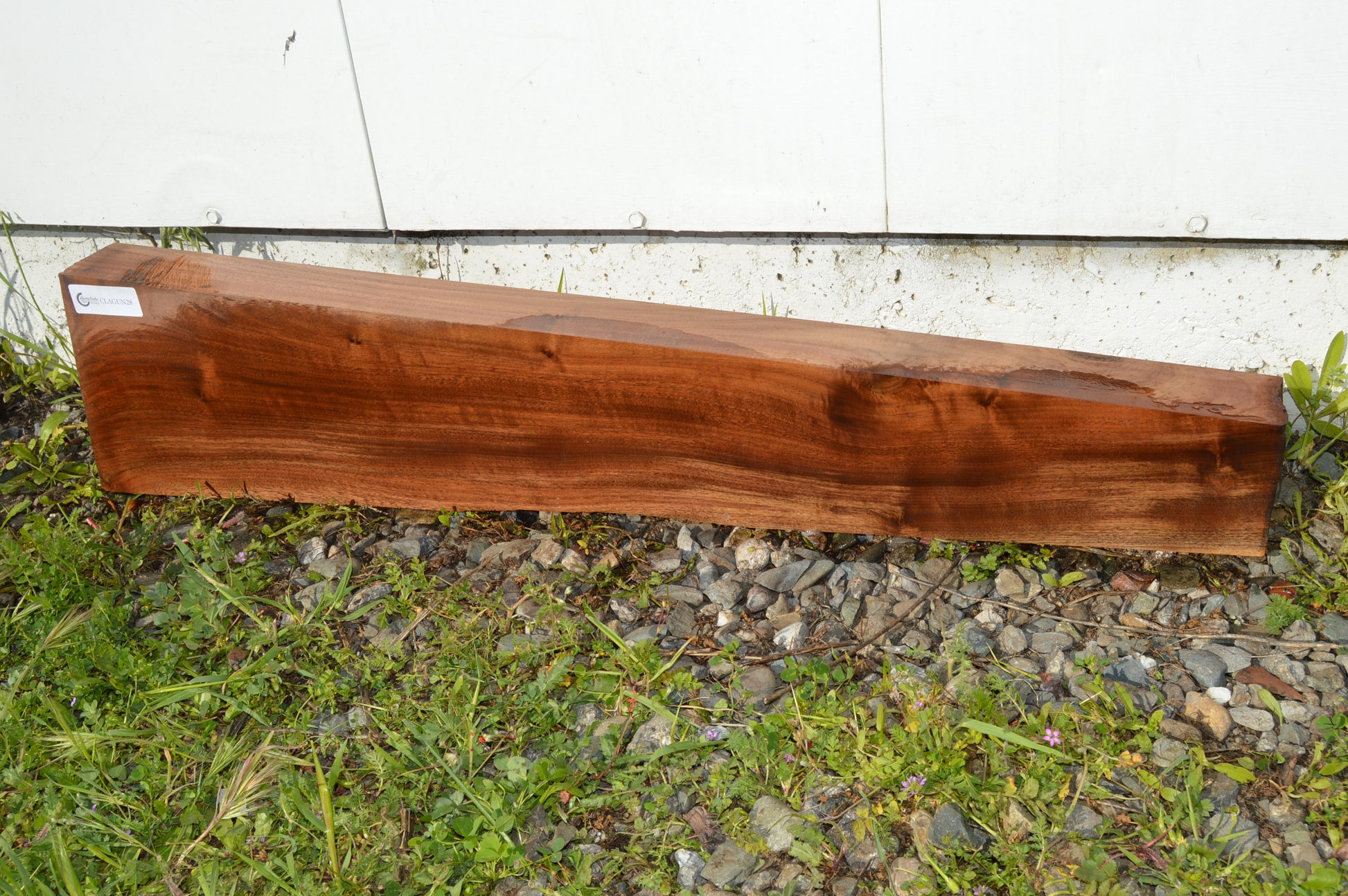 Claro Walnut Gunstock Blank CLAGUN28