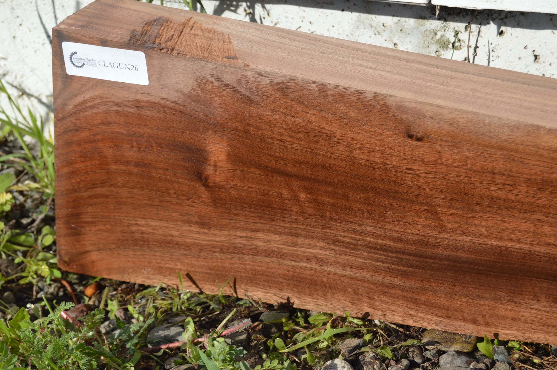 Claro Walnut Gunstock Blank CLAGUN28