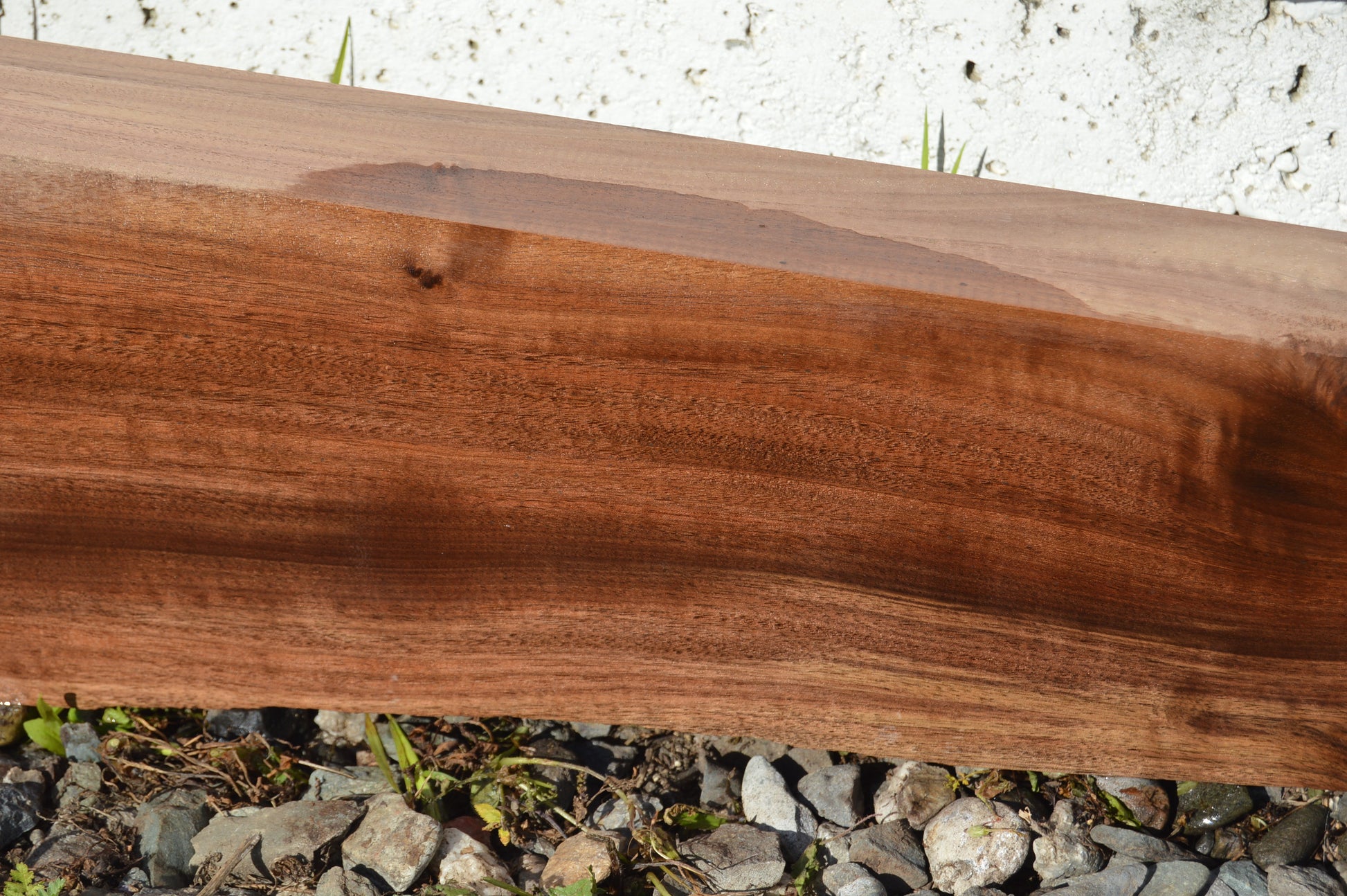 Claro Walnut Gunstock Blank CLAGUN28